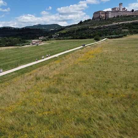 Agriturismo Molinella Assisi Buitenkant foto